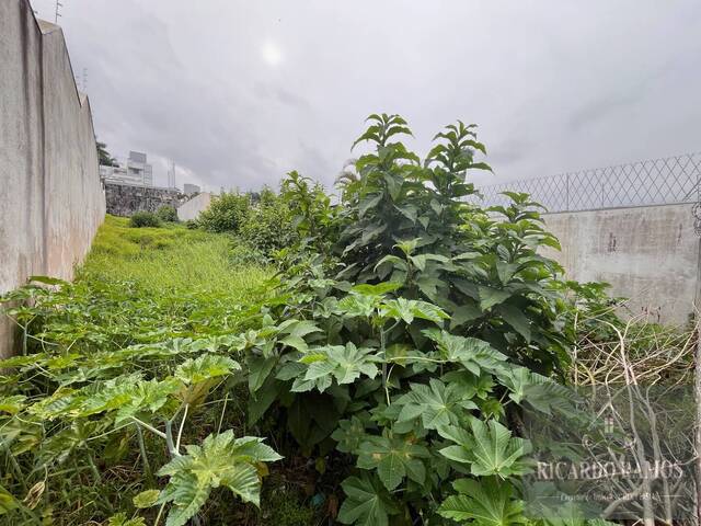 #612 - Terreno para Venda em Mogi das Cruzes - SP - 3